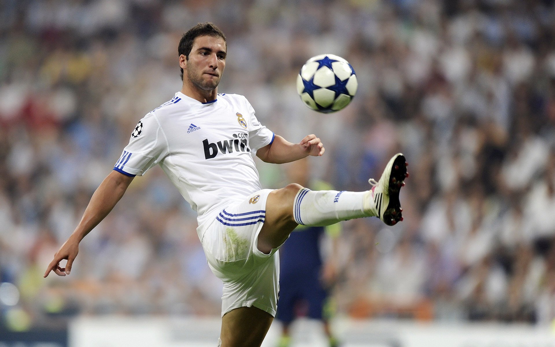 女子队社交媒体互动率领先男队，女子队员